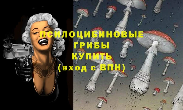 бутират Вязники