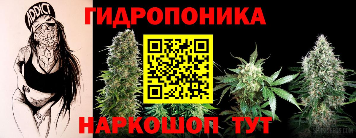 Шишки марихуана планчик  Вход с VPN  Еманжелинск  Бошки марихуана план 